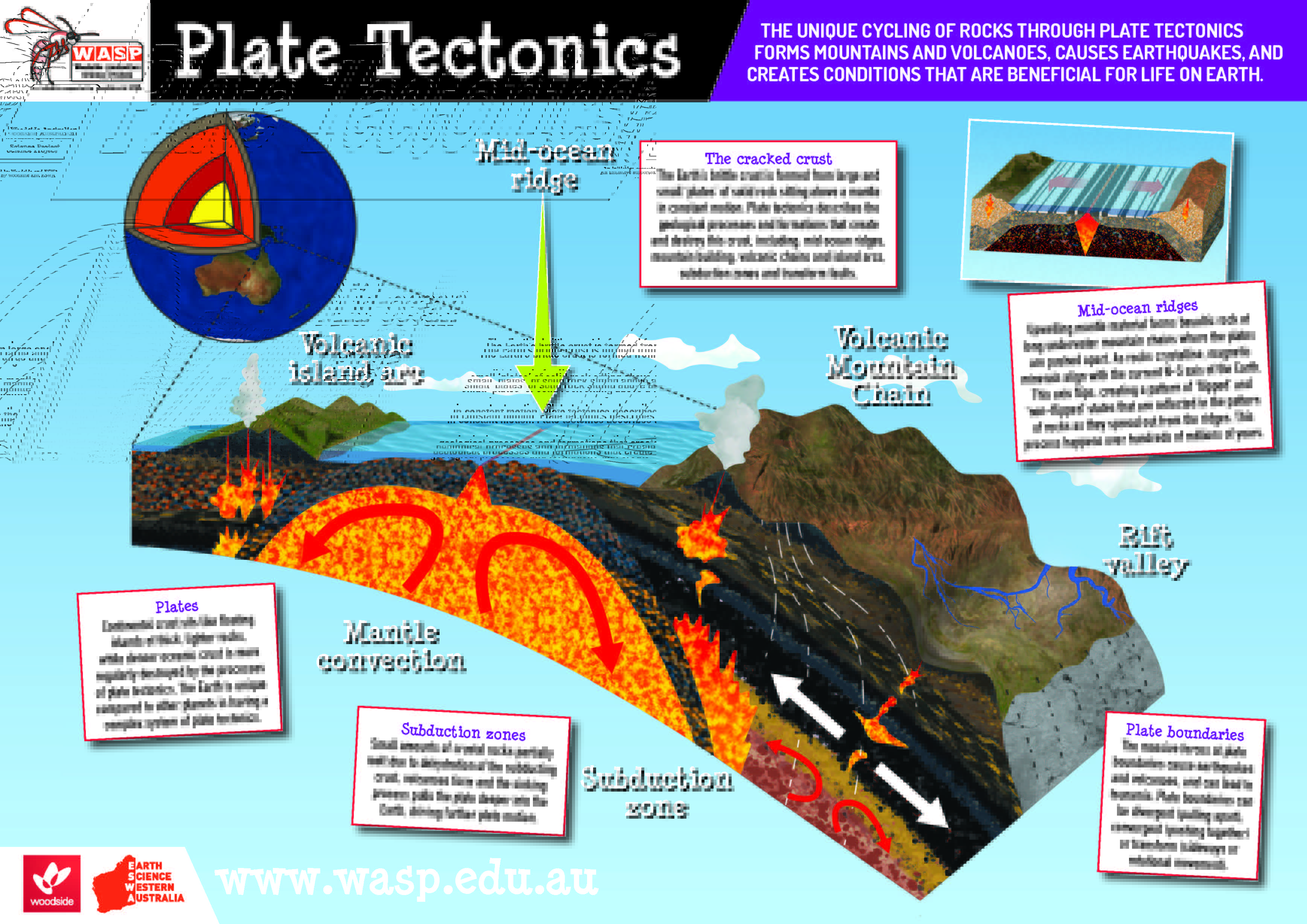 W.A.S.P Year 9 Plate Tectonics